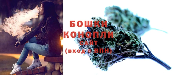 соль ск Вяземский