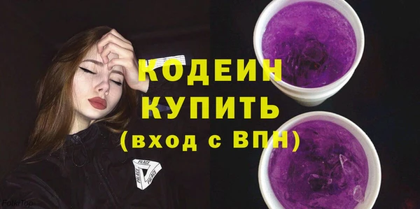 соль ск Вяземский
