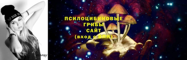 соль ск Вяземский