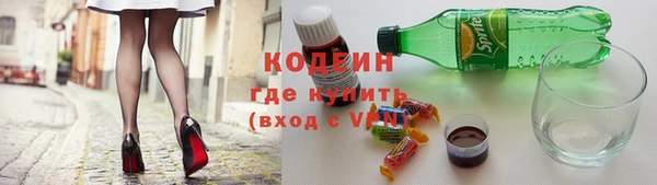 соль ск Вяземский
