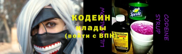 соль ск Вяземский