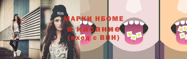 соль ск Вяземский