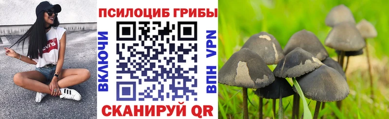 магазин  наркотиков  Ковров  Галлюциногенные грибы Magic Shrooms 