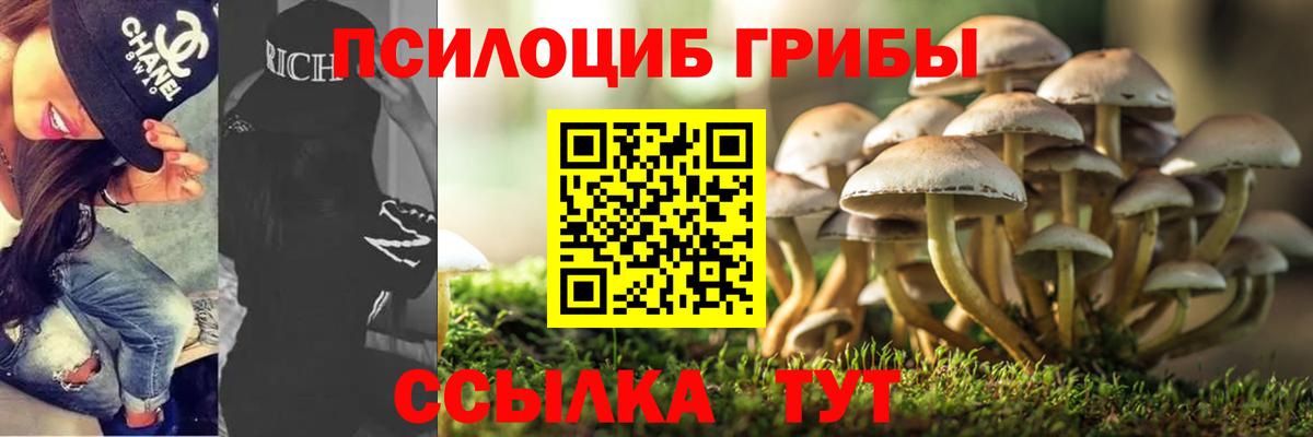 Псилоцибиновые грибы MAGIC MUSHROOMS  Вход с VPN  Ковров  Галлюциногенные грибы GOLDEN TEACHER 